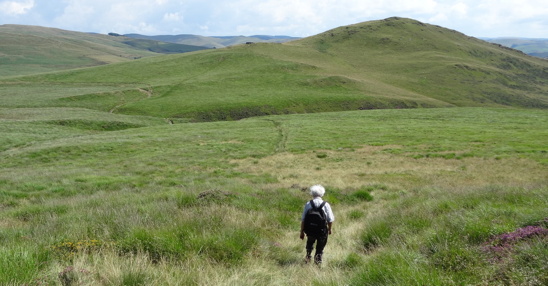 RachelSeabrook.net | Wild Walking | Disgwylfa-Fawr | pic10